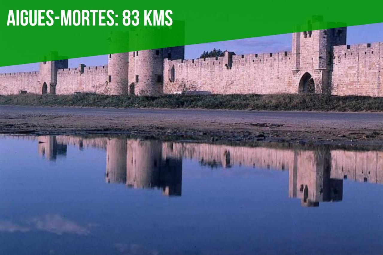 Le Figuier - Clim - Wifi Apartman Villeneuve-lès-Avignon Kültér fotó