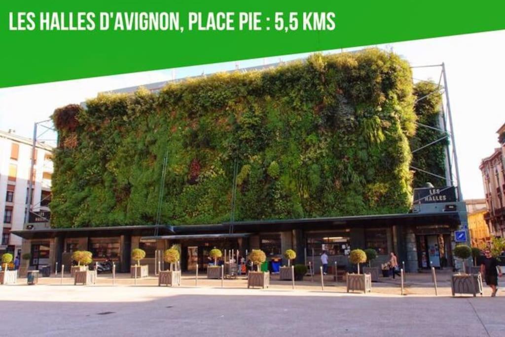 Le Figuier - Clim - Wifi Apartman Villeneuve-lès-Avignon Kültér fotó